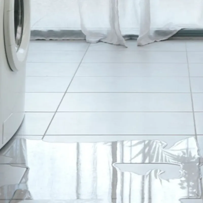 Appliance Leak Cleanup in Greenville, IL
