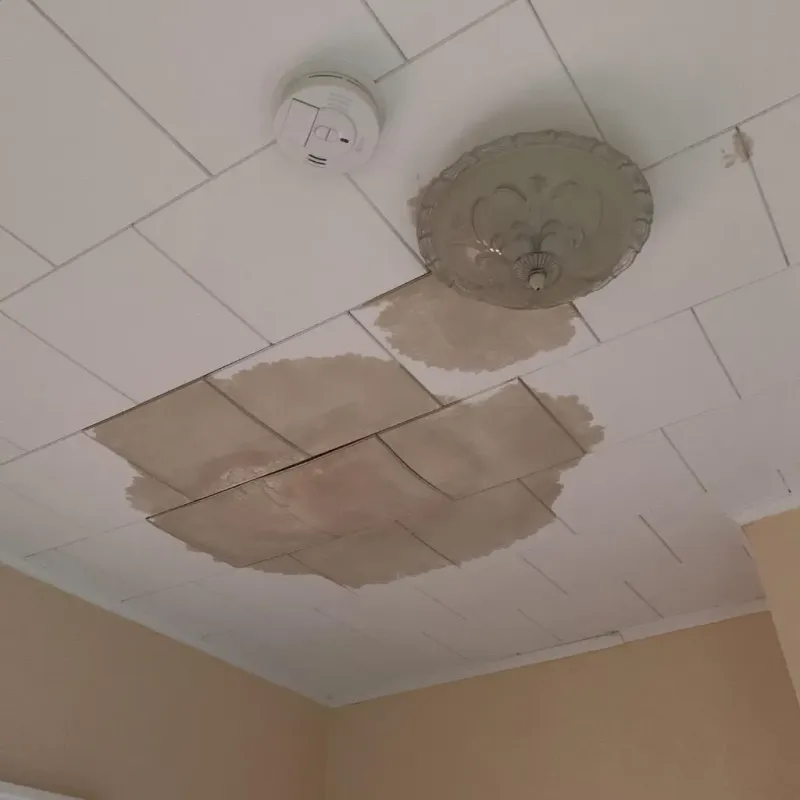 Ceiling Water Damage Repair in Greenville, IL