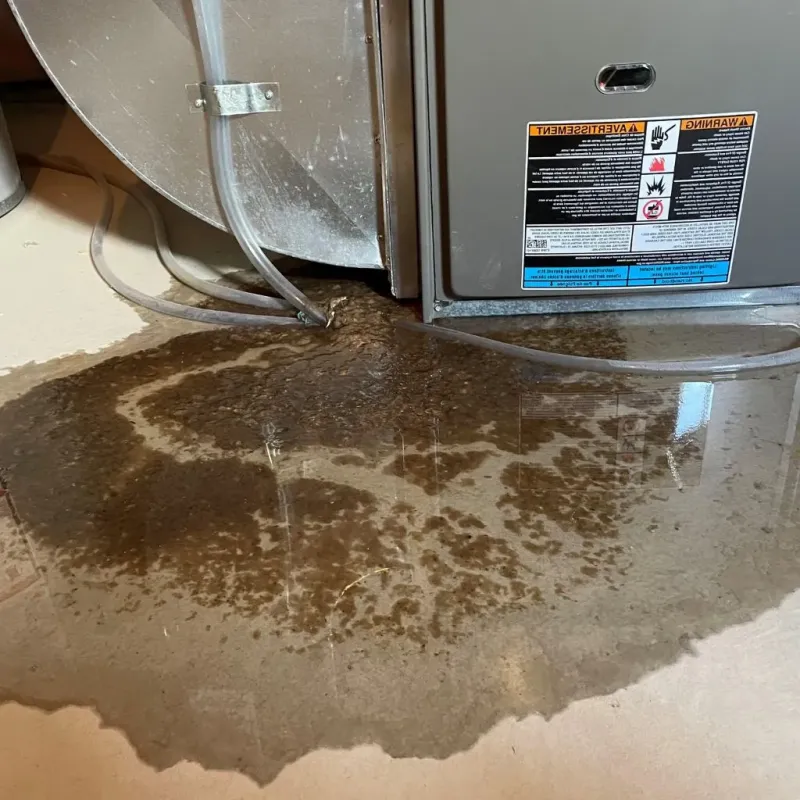 Pipe Burst and Leak Restoration in Greenville, IL