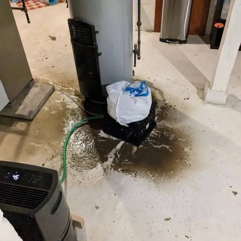 Sewage Backup Cleanup Service in Greenville, IL